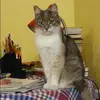 Отзыв от Нинель Астафьева